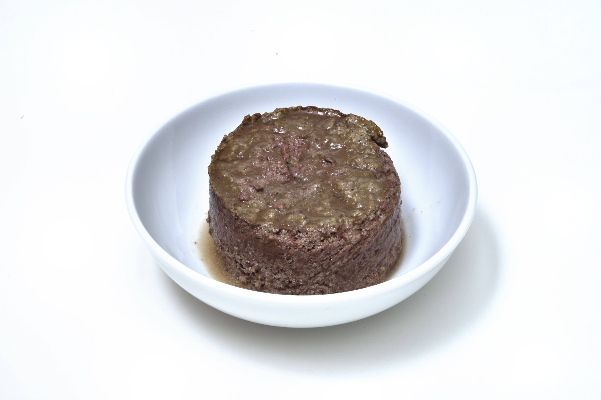 ケーナインナチュラル ドッグフード ウェット ビーフ・フィースト (170g) K9 Natural beef feast | 商品一覧