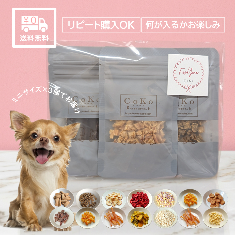 CoKoオリジナル 国産 犬おやつ 無添加 何が入るかお楽しみ ミニおやつ×3個セットアイキャッチ画像
