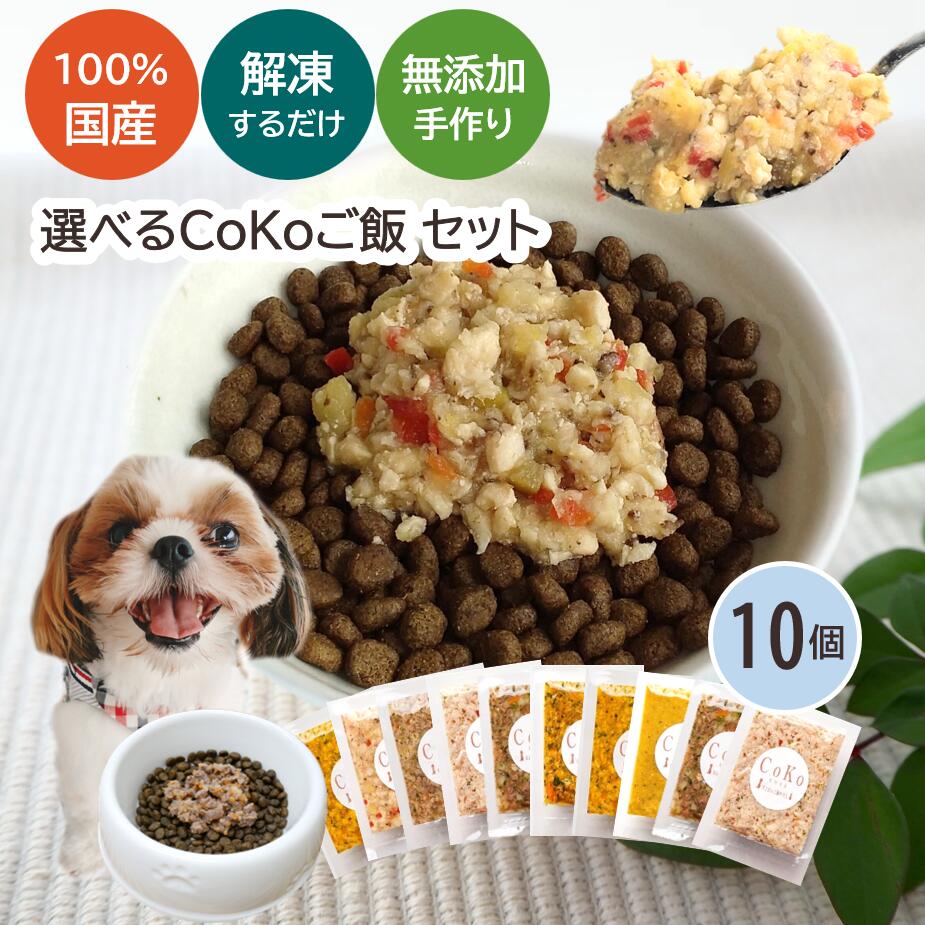 国産 無添加 手作りご飯 ドッグフード トッピング 6種類から選べる10個セット 冷凍 (50g×10)アイキャッチ画像