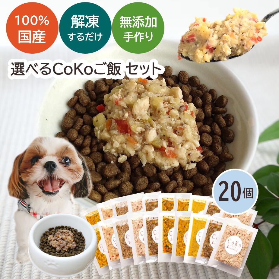 国産 無添加 手作りご飯 ドッグフード トッピング 6種類から選べる20個セット 冷凍 (50g×20)アイキャッチ画像