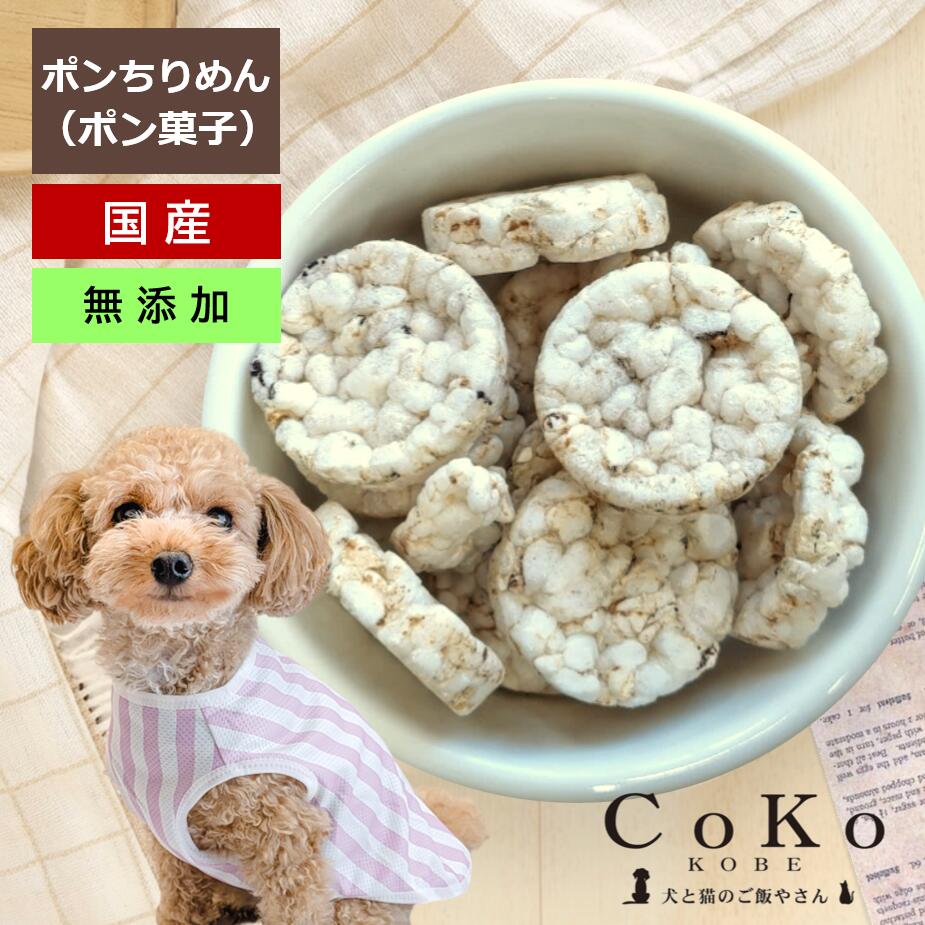 CoKoオリジナル 犬おやつ 無添加 国産 ポンちりめん(25g) Ricepuff for dogsアイキャッチ画像