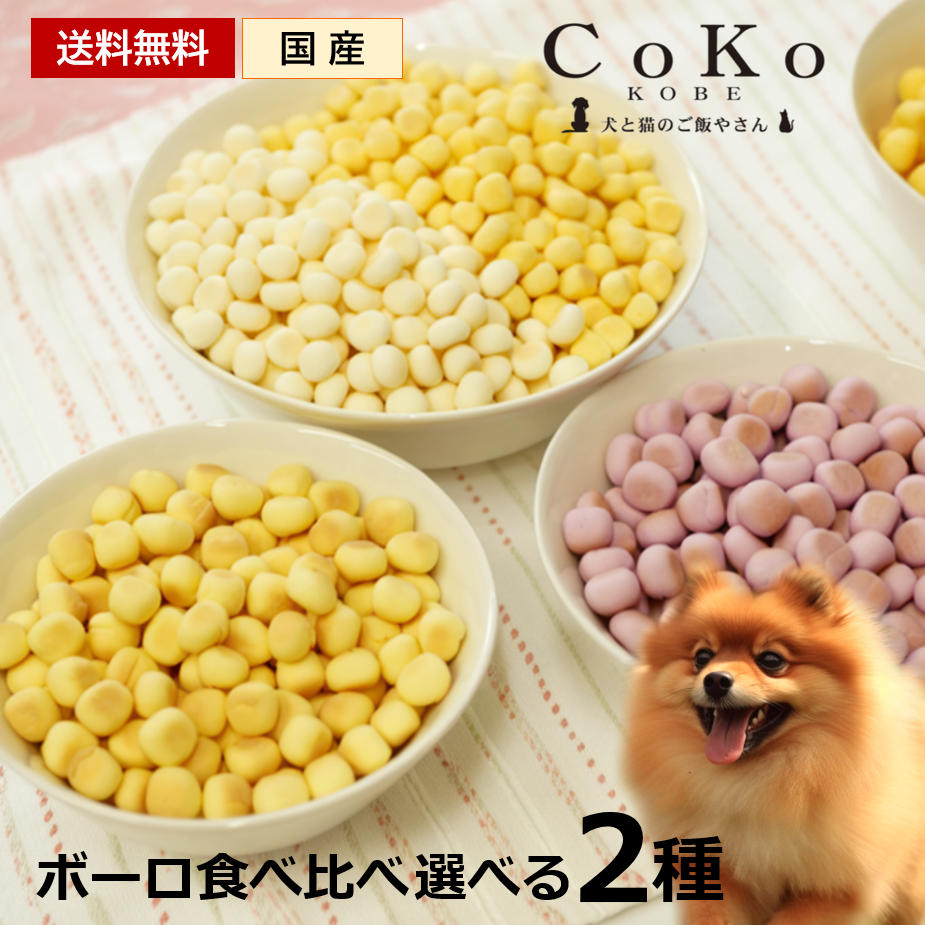 送料無料 CoKoオリジナル 犬おやつ 国産 種類が選べる ボーロ 2種食べ比べセット Original bolo set for dogsアイキャッチ画像