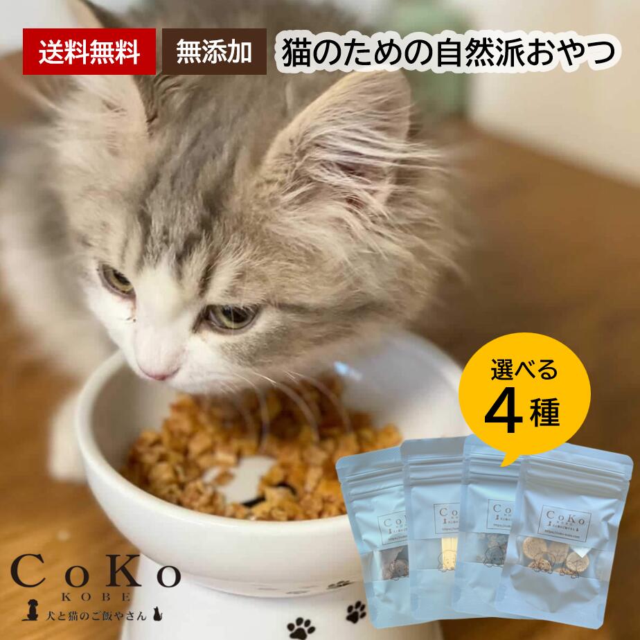 CoKoオリジナル 犬おやつ 猫のための自然派おやつ4種( 無添加 ミニ )無添加 国産 for catsアイキャッチ画像