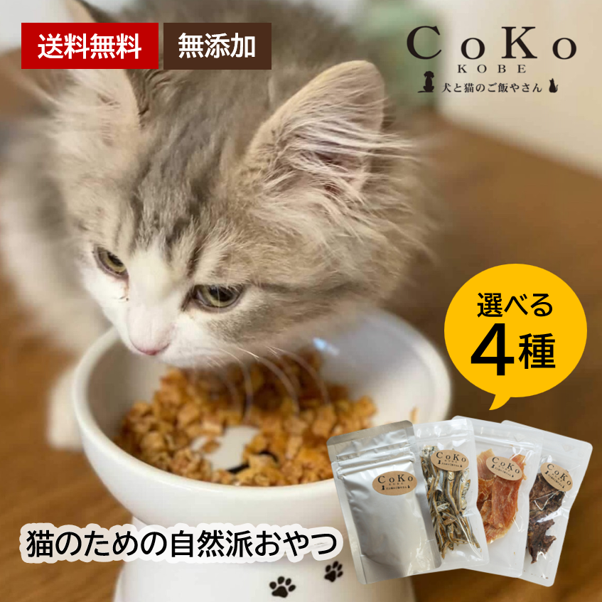 CoKoオリジナル 犬おやつ 猫のための自然派おやつ4種（ 無添加 ミニ ）無添加 国産 for catsアイキャッチ画像