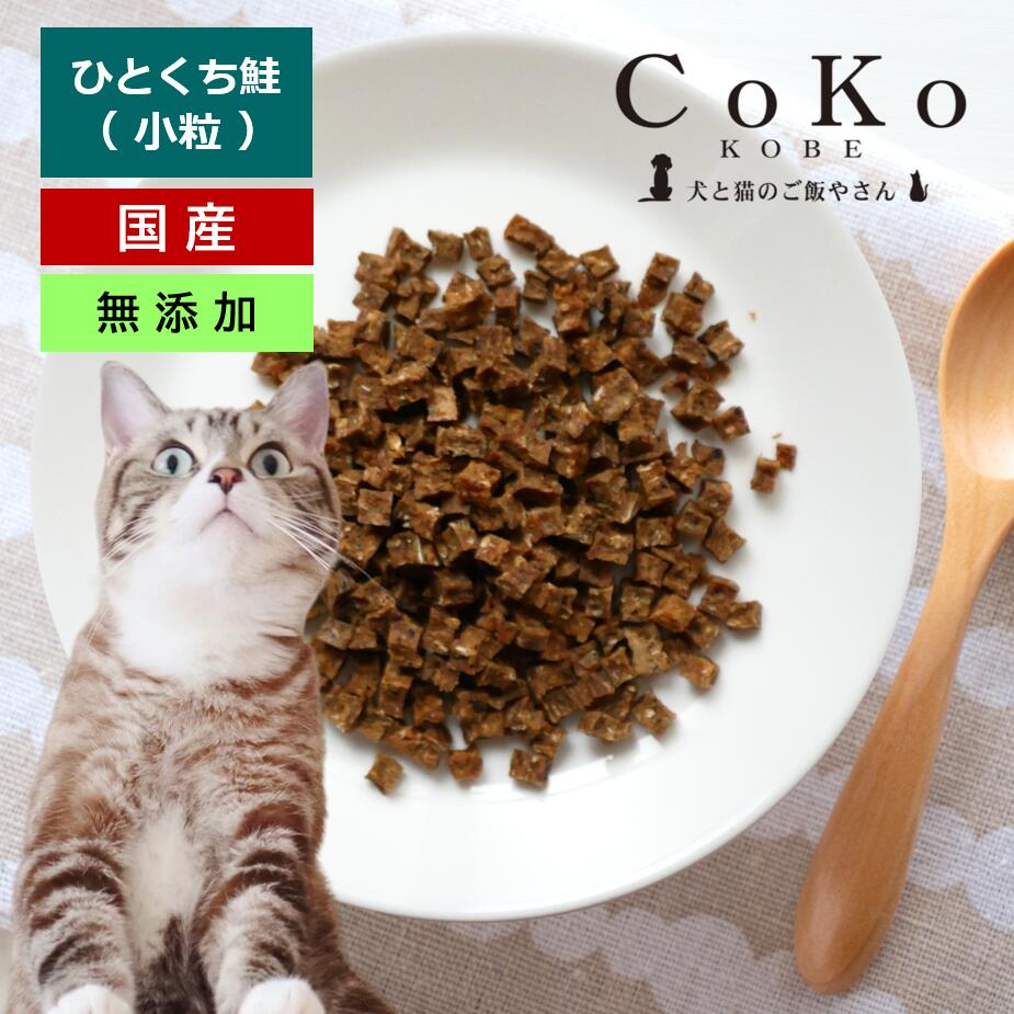 CoKo Original 国産・無添加 食べやすい「ひとくち鮭」アイキャッチ画像
