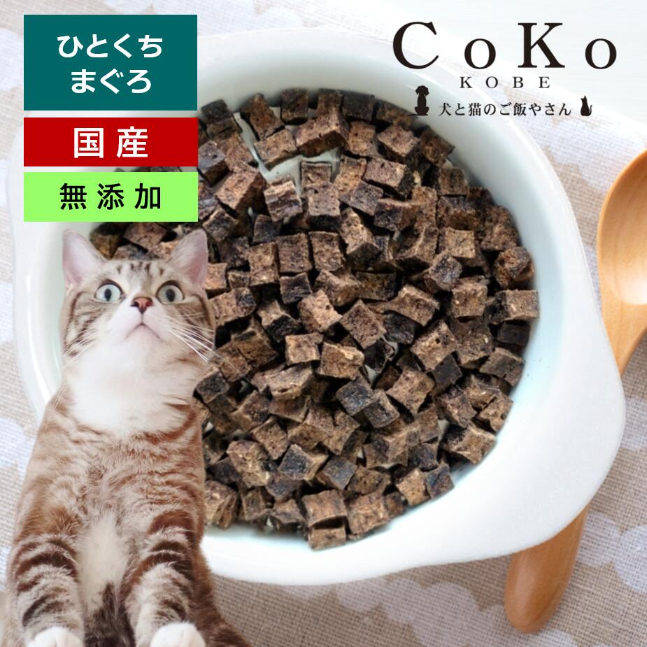 CoKo Original 国産・無添加 食べやすい「ひとくちまぐろ」55gアイキャッチ画像