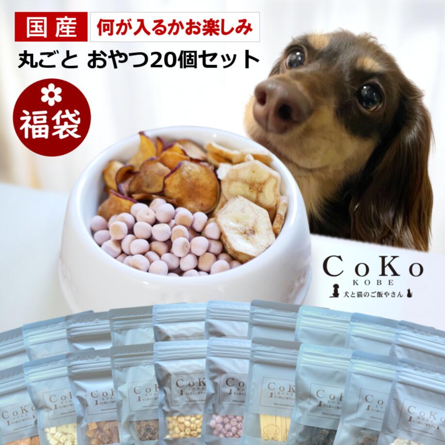 CoKo Original 国産・無添加 超お得CoKoまるごと食べつくしセット 送料無料でお届け！ ギフト 大容量のセット！アイキャッチ画像