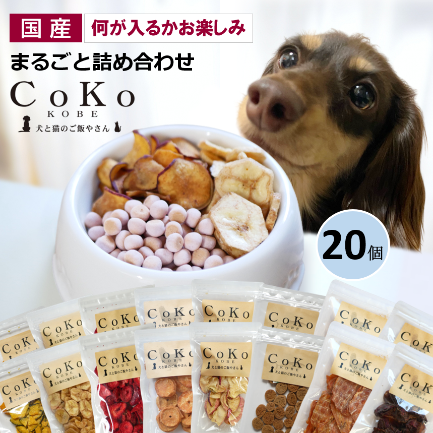 送料無料 国産 犬おやつ 超お得 CoKoまるごと食べつくしセットアイキャッチ画像
