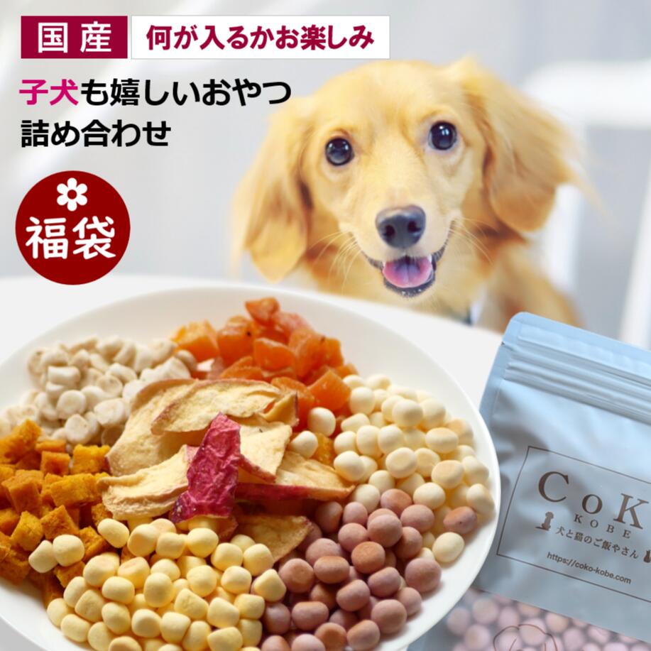 CoKo Original 国産・無添加 パピーからシニアまで嬉しい 低たんぱくを中心としたおやつセットアイキャッチ画像