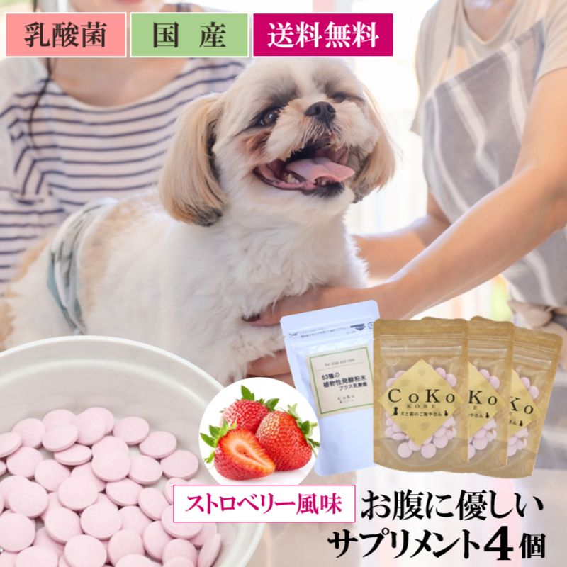 犬 サプリ 国産 無添加 乳酸菌 サプリメント 発酵 酵素 お腹想いのサプリセットアイキャッチ画像