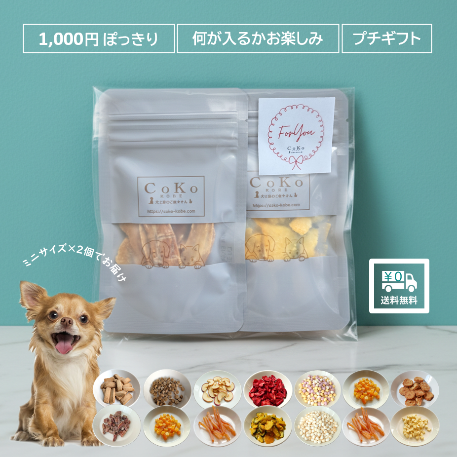 CoKoオリジナル 何が入るかお楽しみ ミニおやつ×2個セット Snacks for dogsアイキャッチ画像