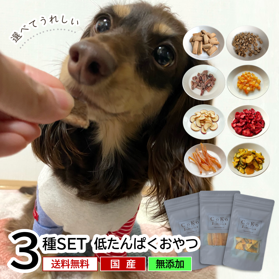 CoKoオリジナル 選べる低たんぱく3種セット（ミニサイズ）Snacks for dogsアイキャッチ画像